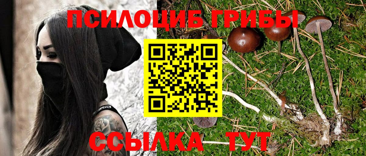 Галлюциногенные грибы мицелий  Галлюциногенные грибы мицелий  Ноябрьск  Вход с VPN 